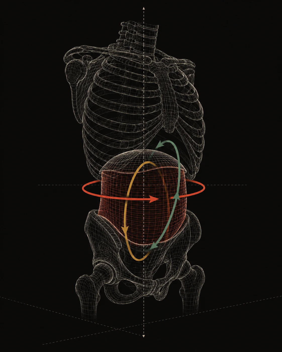 Esqueleto do tronco em wireframe, com o dantian representado como um volume sólido encaixado entre o diafragma e o assoalho pélvico. Três setas curvas de rotação atravessam esse volume em três planos distintos.